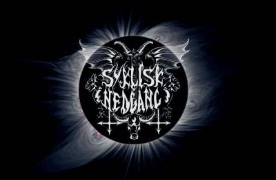 logo Syklisk Nedgang